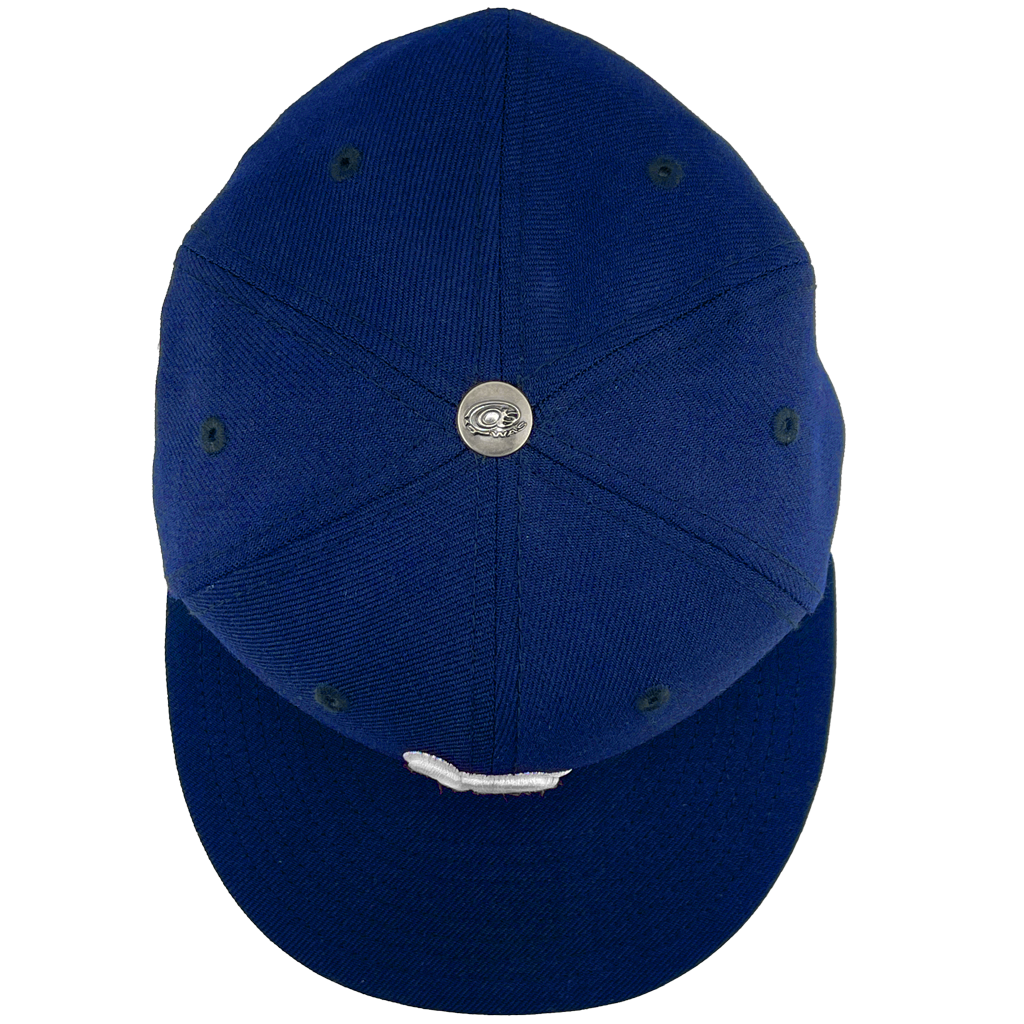 AIW Rework Series Dodgers Fitted Cap